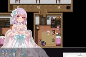 【PC/2D/精品RPG/汉化/全CV】阿尔迪亚塔 Tower of Ardia 精翻汉化版+存档【1.2G】-IS