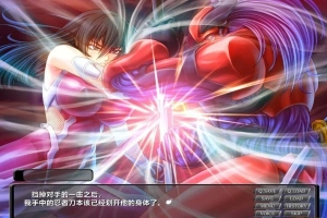 【SD/2D/ADV/汉化】对魔忍阿莎姬2~银谋之东京王国 双端精翻汉化完全版【1G】-IS