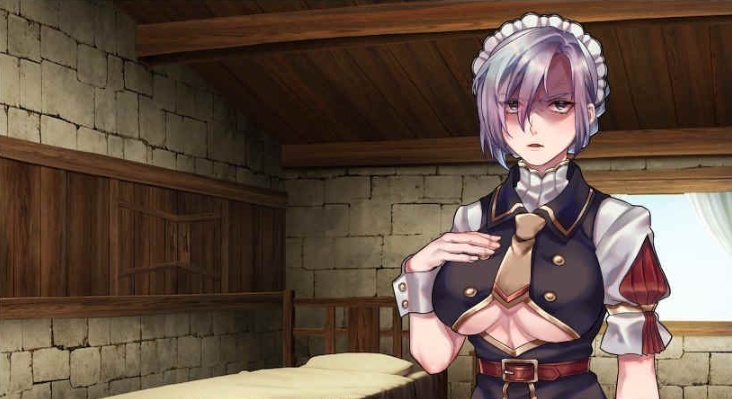 [RPG/中文/动态]奴隶女仆与报酬迷宫 BOKIBOKI官方中文步兵版[新作][500M/百度]』